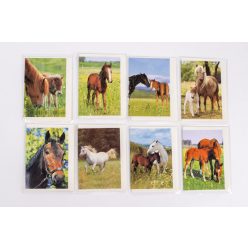 Carte de salutation cheval 9CM 8S/ST