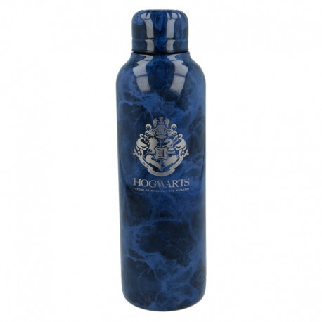 BOUTEILLE EN ACIER INOXYDABLE ISOLÉE 515 ML HARRY POTTER
