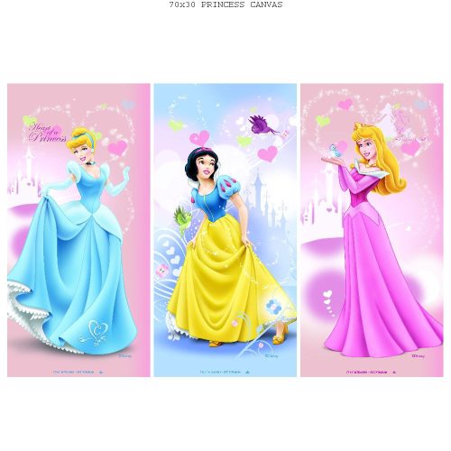 IMAGE PRINCESSE 3S 70*30