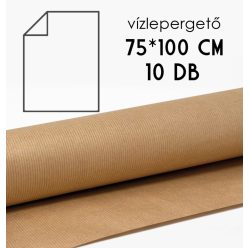 CSP*10 VÍZLEPER.KRAFT75*100