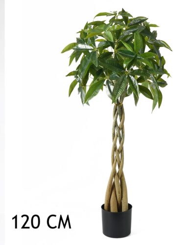 Cacao sauvage 4 branches vertes 120CM