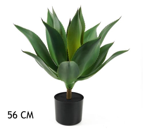 Agave verte 56 cm