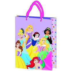   Sac cadeau 23x18x8,5cm, surface en plastique laminé - Princesse Disney