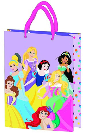 Sac cadeau 23x18x8,5cm, surface en plastique laminé - Princesse Disney