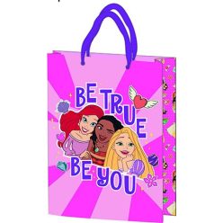   Sac cadeau 25x18,5x8cm, surface en plastique laminé - Princesse Disney