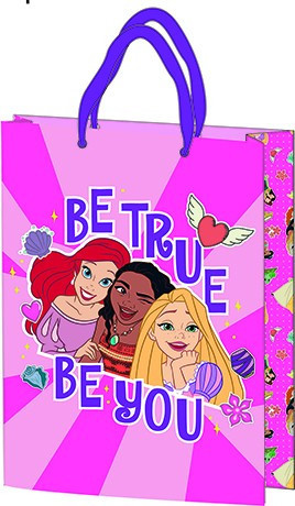 Sac cadeau 25x18,5x8cm, surface en plastique laminé - Princesse Disney