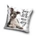 Housse de coussin avec des chiens 40x40 cm - blanc