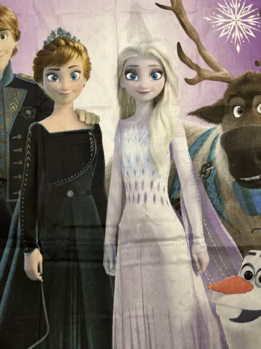 Parure de lit La Reine des Neiges famille glacée 100% coton - 140*200cm + 70x90cm