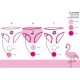 Culotte fille flamant rose - lot de 3 culottes en coton