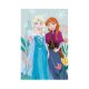 Couverture polaire La Reine des Neiges Disney - 100 x 150 cm