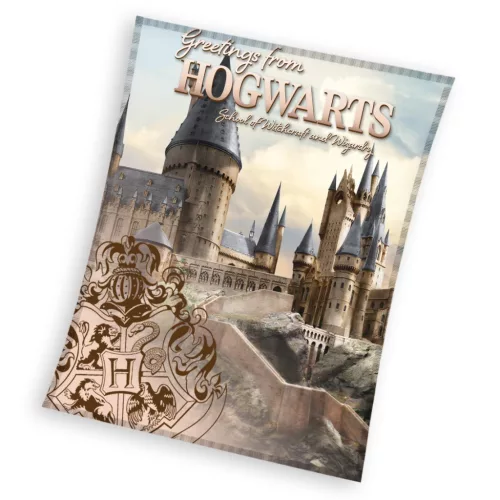 Harry Potter Hogwarts Coral fleece takaró 130x160cm 240GSM vastag puha prémium anyagból