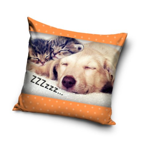 Housse de coussin chien-chat 40x40 cm