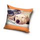 Housse de coussin chien-chat 40x40 cm