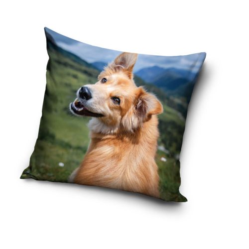 Housse de coussin avec des chiens 40x40 cm