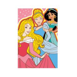 Couverture polaire Princesses Disney - 100 x 150 cm - 1
